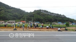 충주 살미면 꽃동산