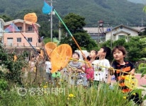 단양호산나어린이집 곤충채집