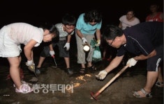 서천군, 월하성 횃불·머드 힐링 문화제