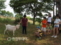 도심서 지친 심신 녹색마을서 재충전