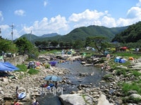 단양 대강면  감동 피서지