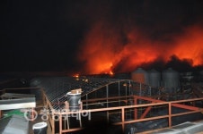 공주 남산리 양계장 화재 1억 5000만원 피해