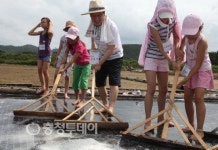 천안 초등학생들, 태안 농어촌 마을 체험