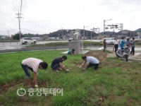 음성 생극면사무소 전직원 환경정화활동