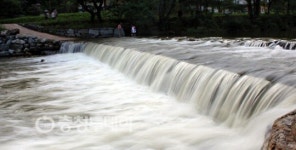 백번 걸어도 좋을 백범의 솔바람길