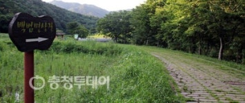 백번 걸어도 좋을 백범의 솔바람길