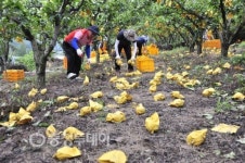 제천시 완벽대책 태풍피해 줄였다