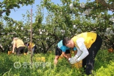 아산경찰서 농가 일손돕기