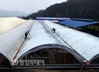 태풍·폭우… 좌절이란 없다