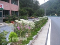 단양 대강면 명승마을 꽃동산