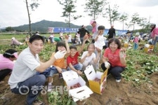 충주 산척면으로 고구마 캐러 오세요