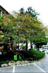 충남도 80년 대전 역사 마감… 내포로 새출발