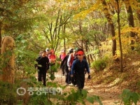단양 금수산 단풍 비단길 함께 걸어요