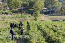 아산소방서 배방읍 중리 1구 농촌 일손돕기