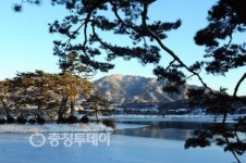제천 의림지 한 폭의 그림처럼