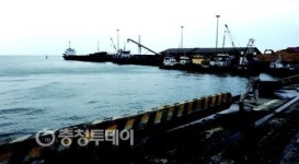 베트남서 키우고 생산한 우드칩 한국자원화에 기여