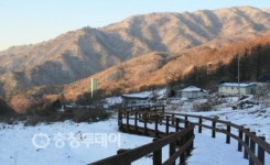 죽령 옛고개 마을 아름다운 마을