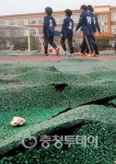 대전 변동초 우레탄 운동장 쑥대밭