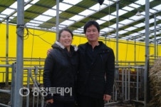허브 스테비아로 우수농산물 생산