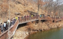 진천 초롱길 입소문 탔다