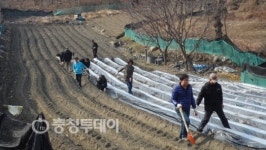 충주시공무원 주중엔 일·주말엔 봉사