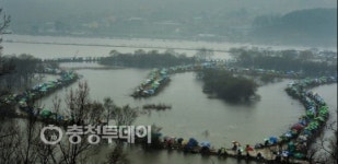 魚, 월척이다 … 찌 바라보던 강태공 봄을 낚다