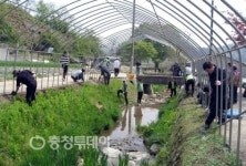 서구 도랑살리기 일환 덩굴식물 심기행사