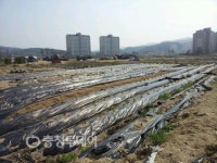 제천강저택지지구 동네텃밭 전락