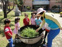 홍성 조양유치원 구항초 병설유치원과 도·농교류