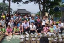 보령시 주포면 사랑담은 목화 화분 나눔 행사