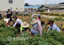 괴산감자도 캐고 농촌 옛향수도 느끼고
