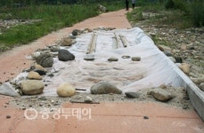 이용객도 없는 4대강 공원 관리비만 수억 줄줄