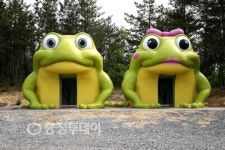 태안군, 피서철 대비 공중화장실 일제점검
