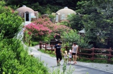 숲속의 쉼터 온가족이 休~