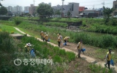 충주 상봉경로당 노인 우리동네 환경지킴이