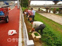 청주시 우암동주민센터 무심동로 코스모스길 조성