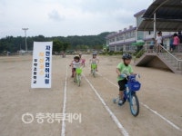 충북 도내 초교 이색면허증 눈길