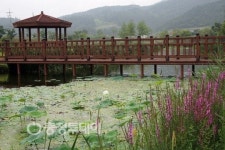 단양군 가대생태습지 자연학습장으로 각광