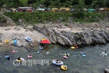 단양군 소선암 오토캠핑장 피서객 북적