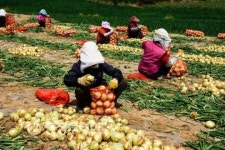 바다위 금빛다리… 몽돌의 속삭임… 그 섬에 빠져들겠네