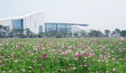 행정타운은 가을몰이