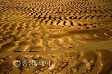 사연 많은 작은 섬 … 초원이 돼 머물고 싶은 아름다운 섬