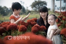 충주 동량면 명품 꽃길 조성
