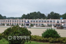 학교 품은 가문비나무처럼 … 올곧게 자라는 금산의 미래