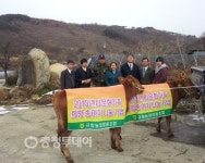 부여농협 은산지역 다문화가족 희망송아지 2두 지원