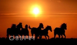 청마의 기상 가득… 행정·경제·정치 1번지 충청이 뜬다