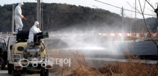 대전·충남 AI 차단 총력전
