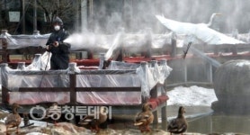 대전오월드 방역 총력