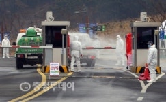 부여 닭 농장서 첫 AI 비상