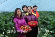 향기 담은 청정 딸기